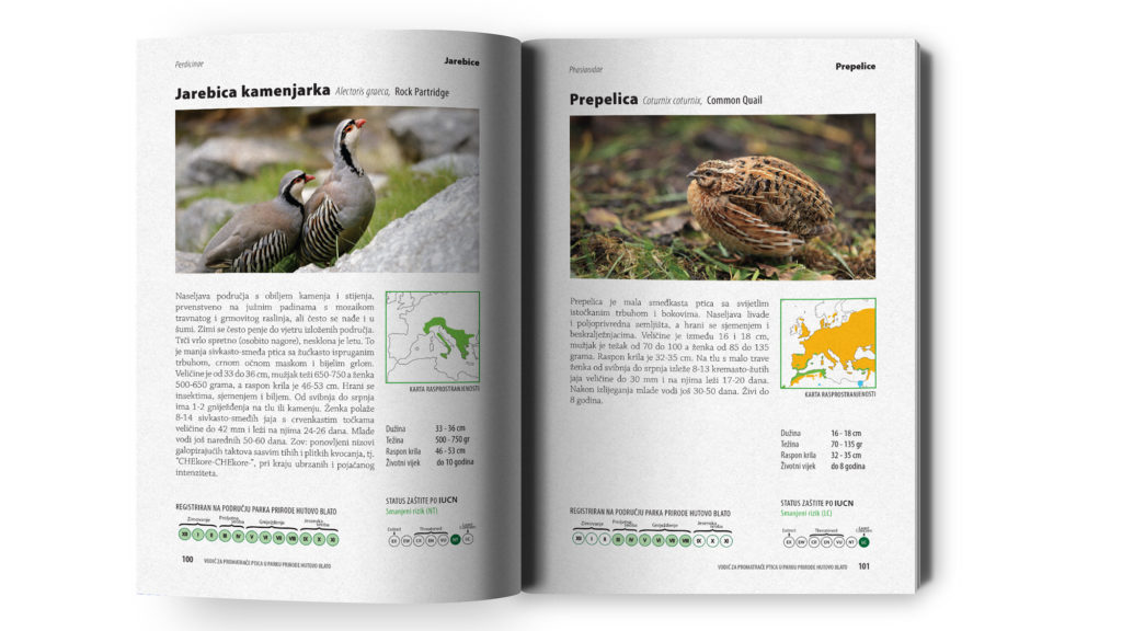Prikaz općin informacija o ptici