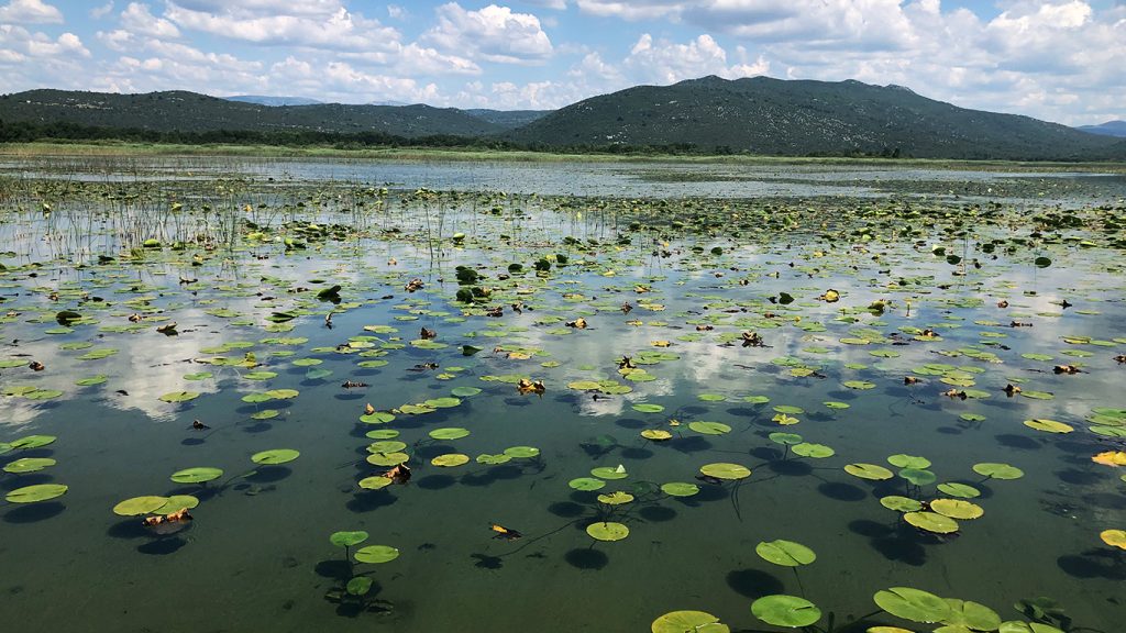 Naslovnica - Park prirode Hutovo blato